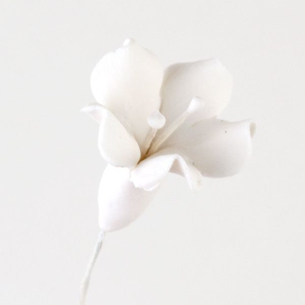 134- Bell Flower White