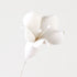 134- Bell Flower White