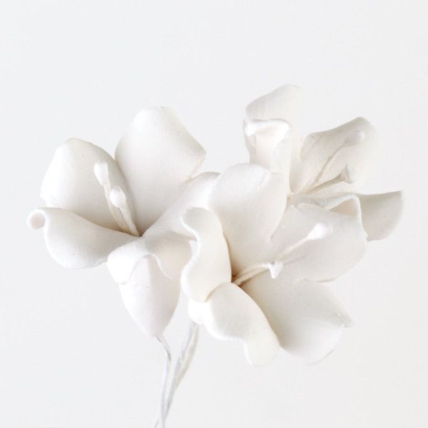 134- Bell Flower White