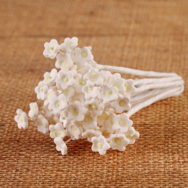 135- Baby's Breath White