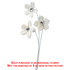 Diamond Centered White Flowers #68