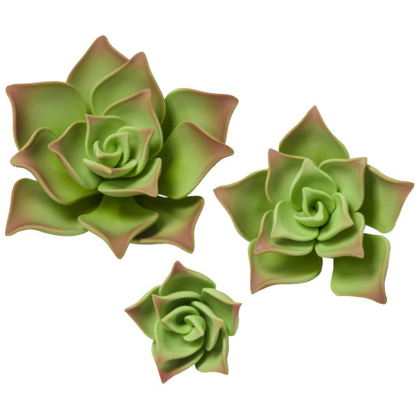 160- Succulents Green 3Pc