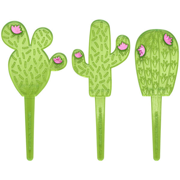 Cactus Assortment DecoPics