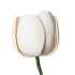 209WH- 3' French Tulip - White