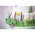 Molde pradera silvestre Karen Davies