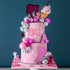 Cake Decorating Stencil SPARKO