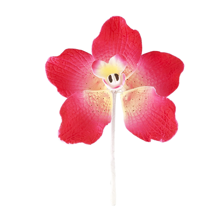 Vanda Orquídea Rosa Fucsia #92