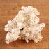 135- Baby's Breath White