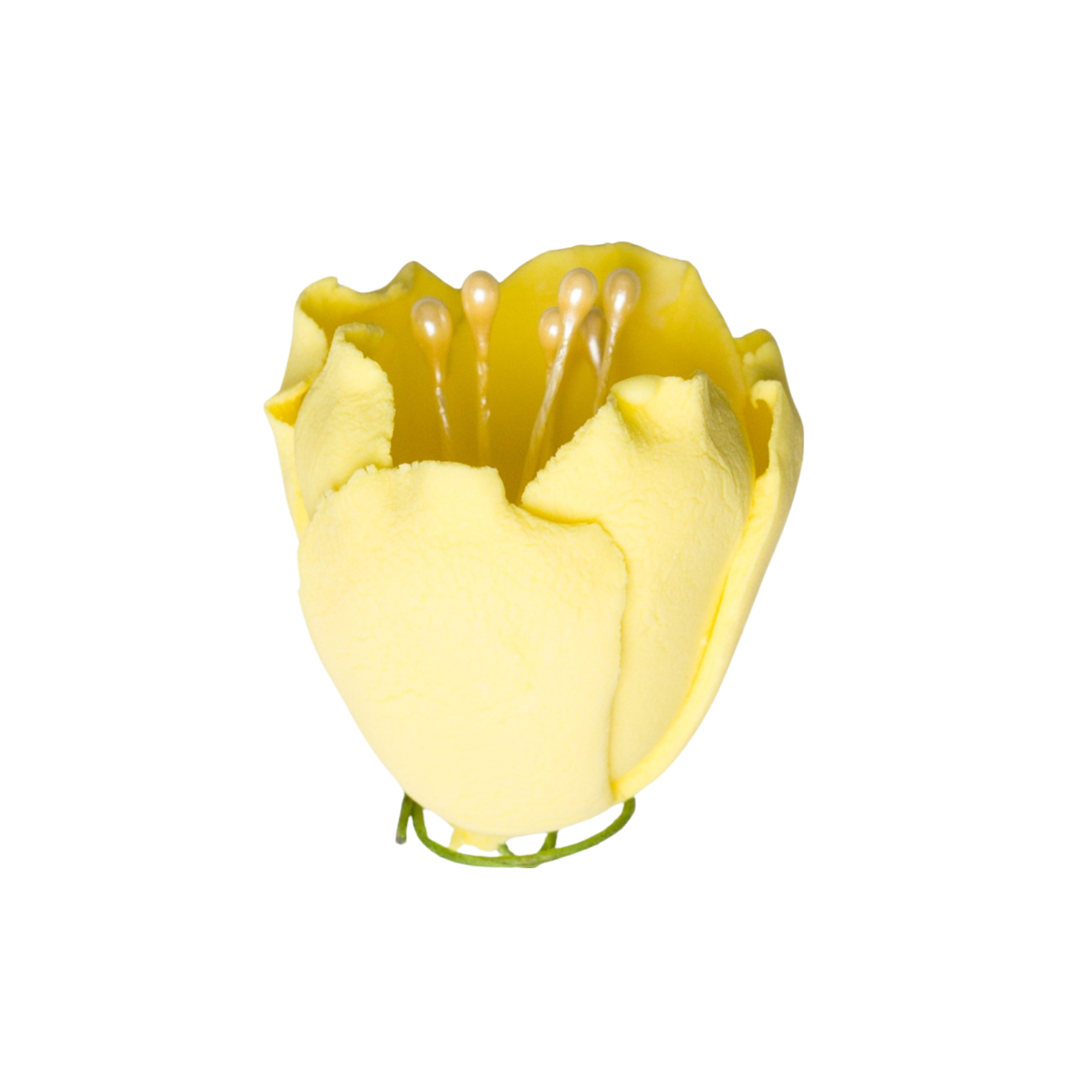 175YL- 1' Tulip -Lemon Yellow