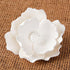 Flor grande de magnolia blanca de pasta de goma #100