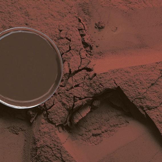 Callebaut 22/24 Cocoa Powder processed with Alkali Powder