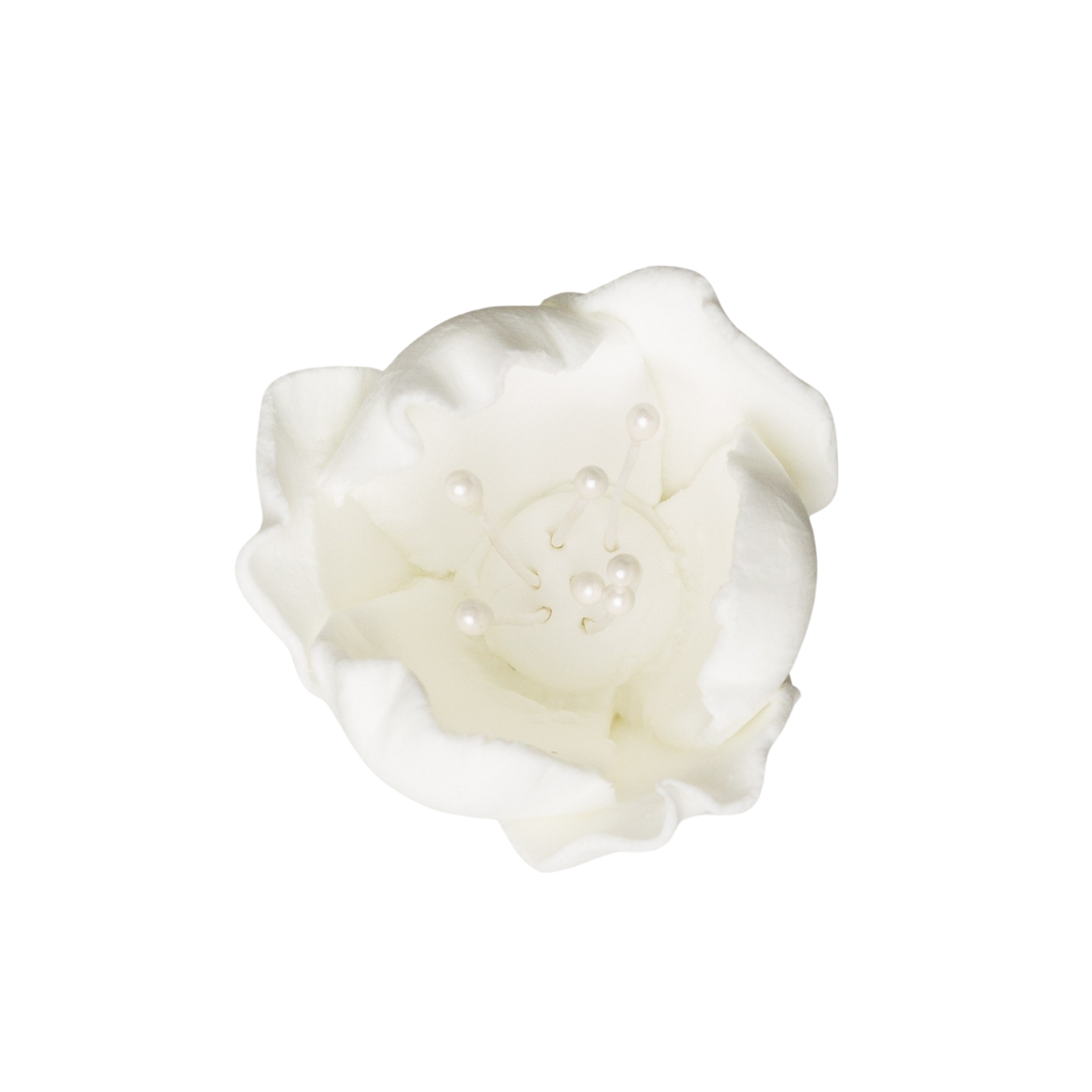 176WH- 1' Tulip - White