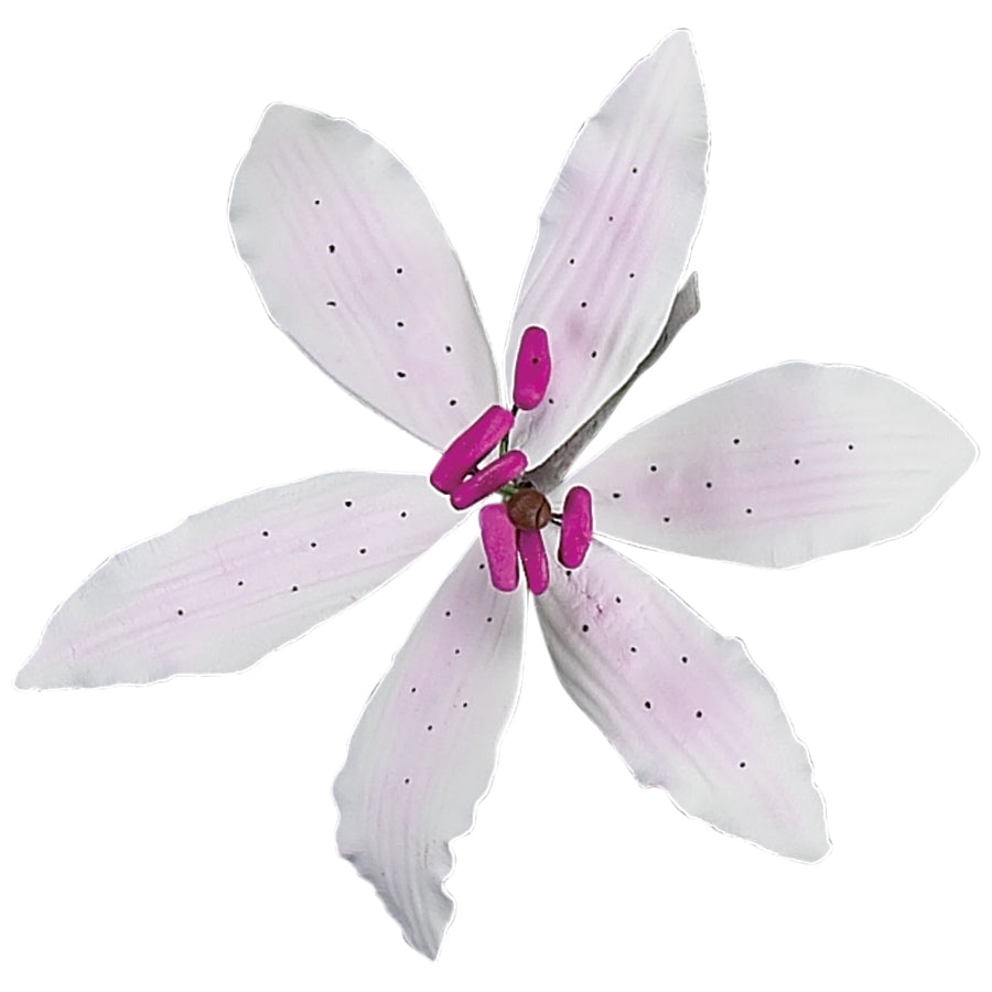 Stargazer Lily Pale Pink LG#53/SM#65