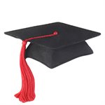 Molde de silicona con temática de graduación de NY Cake