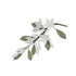 Stephanotis Spray White #101