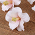 Flor de hibisco de pasta de goma rosa n.º 84 o blanca n.º 85