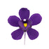 Purple Australian Cymbidium Orchid SM #152 LG #151PU