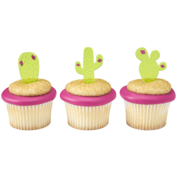 Surtido de cactus DecoPics
