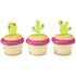 Surtido de cactus DecoPics