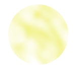 Roxy & Rich Spirdust 1.5g - Todos los colores
