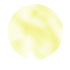 Roxy & Rich Spirdust 1.5g - Todos los colores