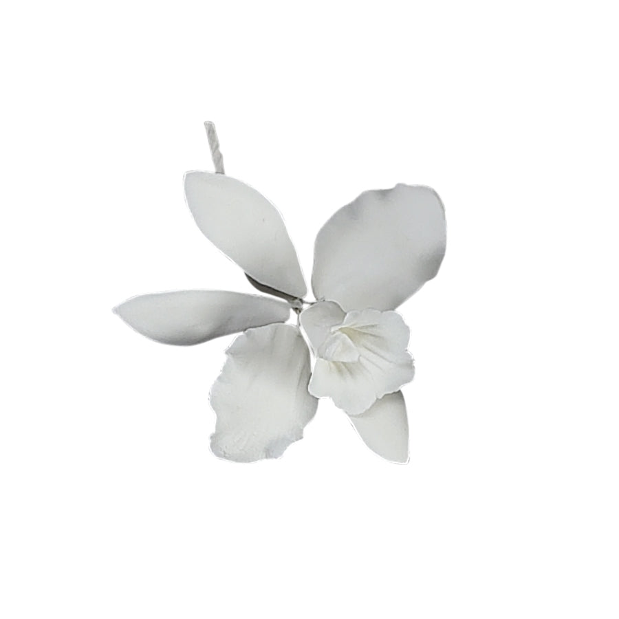 Flores de Gumpaste Orquídea Cattleya Blanca #111, #47, #169