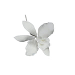 Flores de Gumpaste Orquídea Cattleya Blanca #111, #47, #169