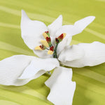 Poinsettia Gumpaste Flower Red #98 or White #96