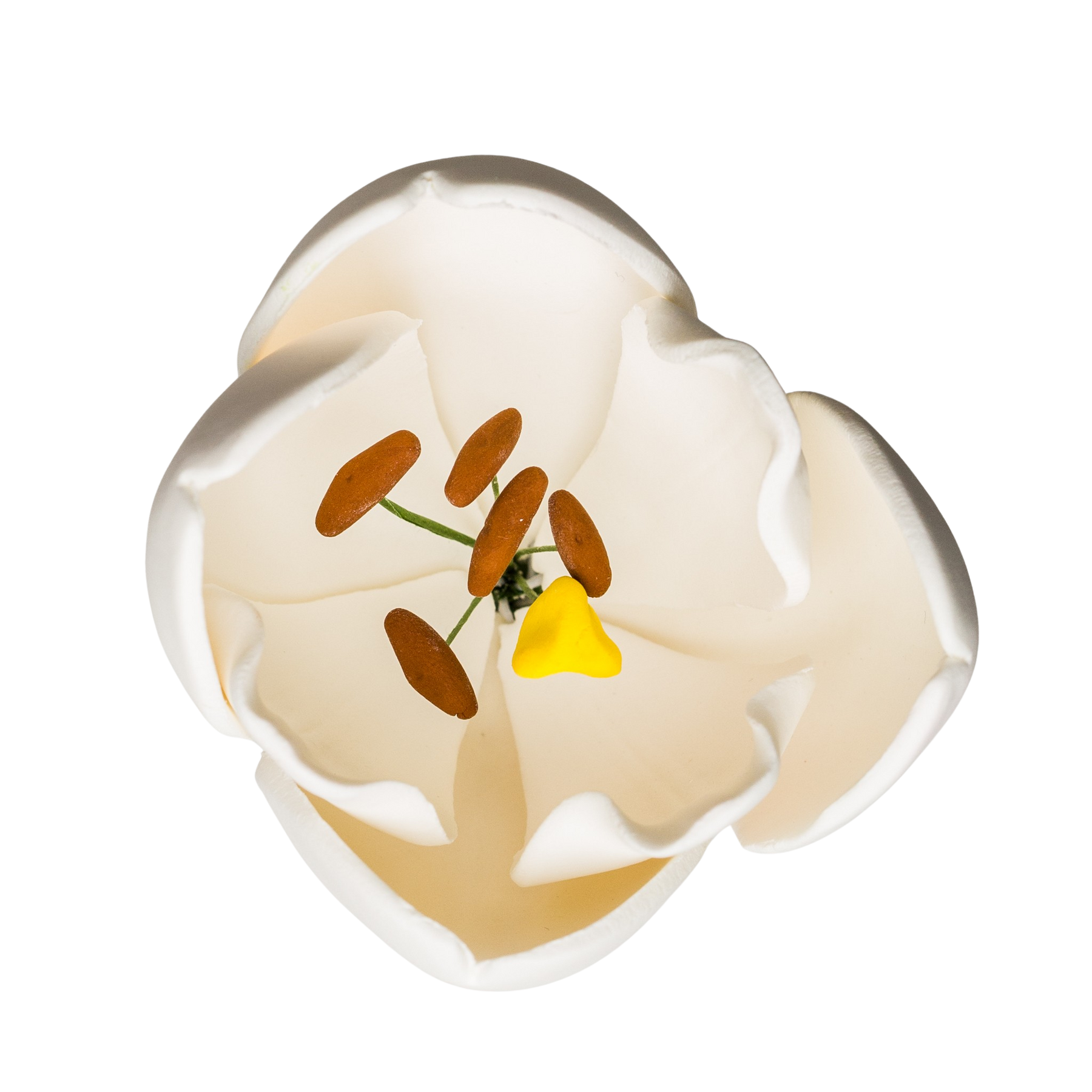 209WH- 3' French Tulip - White