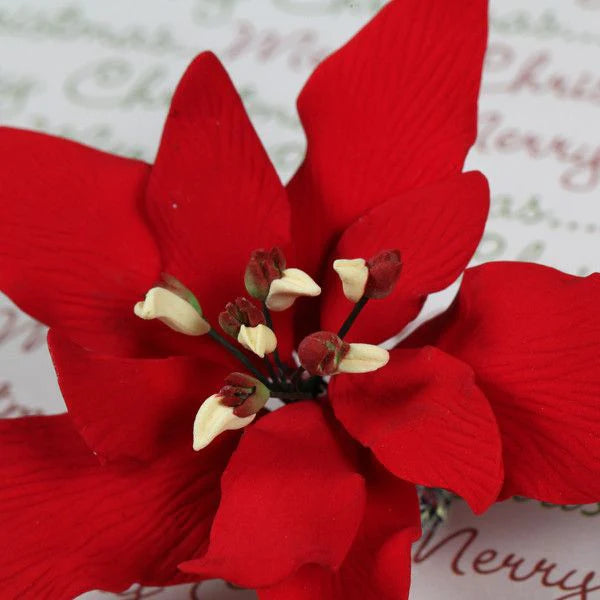 Poinsettia Gumpaste Flower Red #98 or White #96
