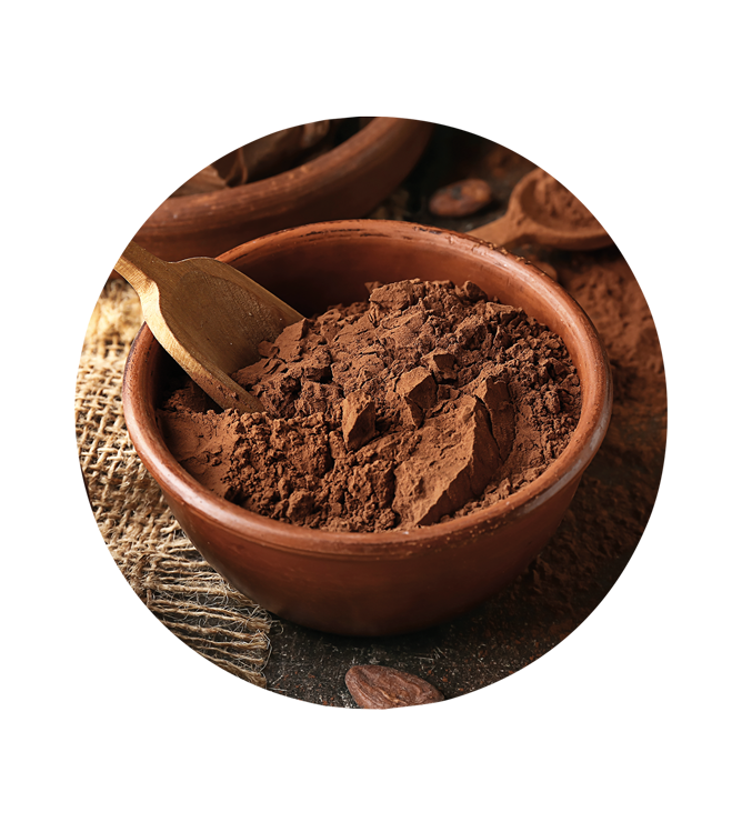 Cacao en polvo 22/24% Blanxart