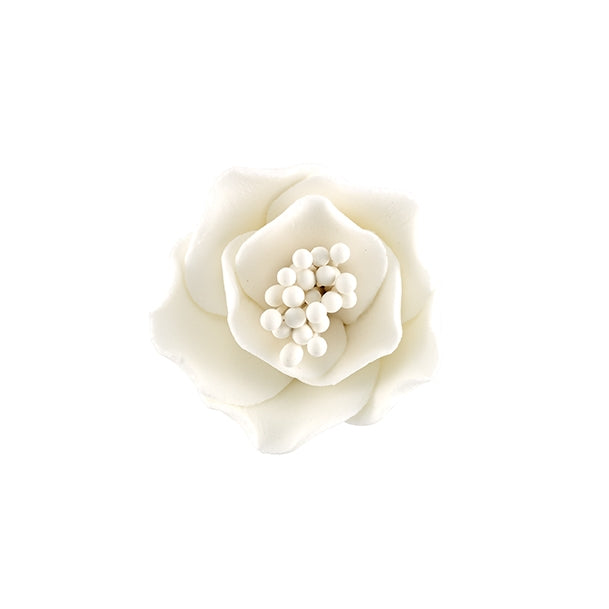 205- Briar Rose On A Wire - Med-Lg