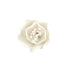 205- Briar Rose En Un Cable - Med-Gde