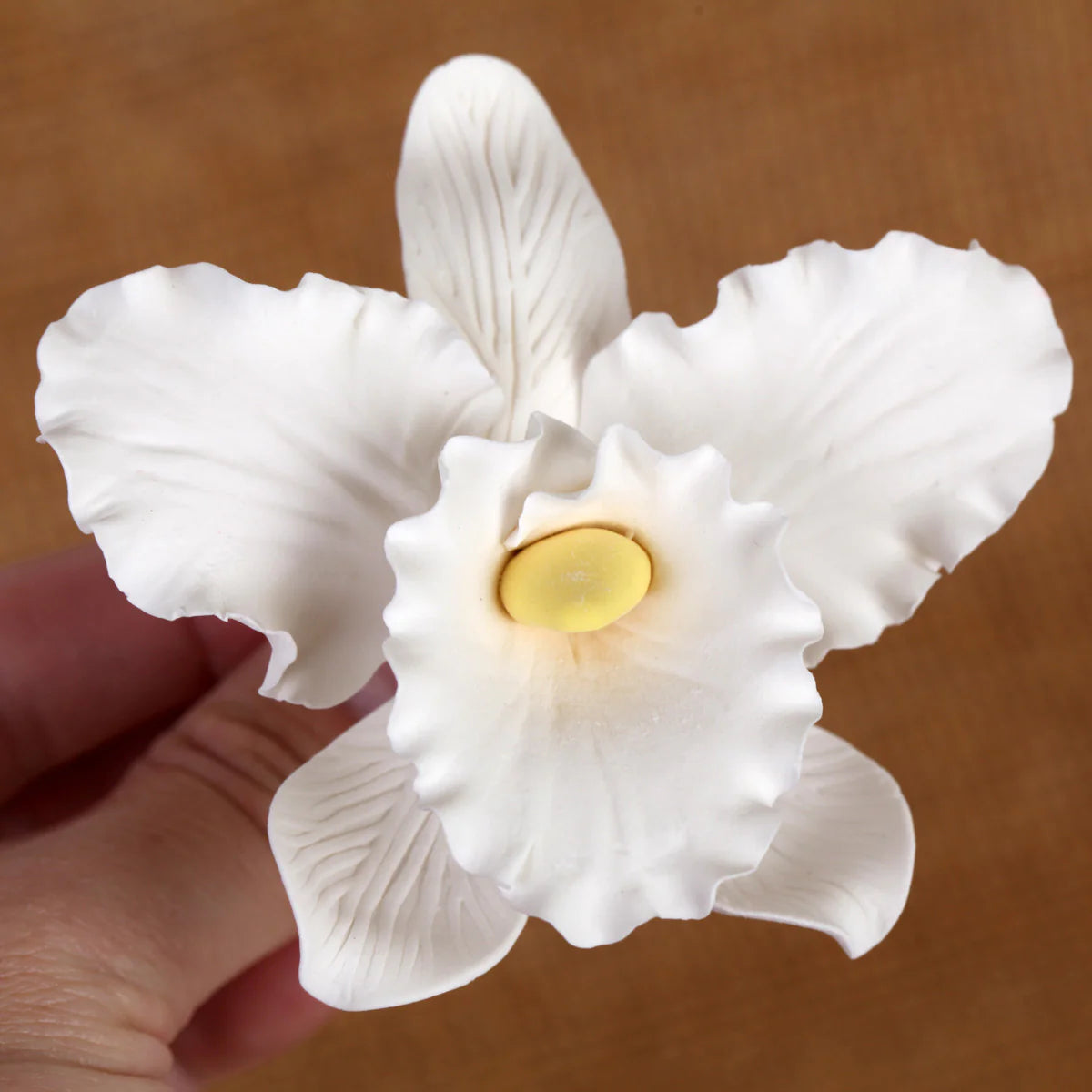 Flores de Gumpaste Orquídea Cattleya Blanca #111, #47, #169