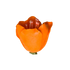 176OR- 1' Tulipan - Naranja