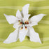 Poinsettia Gumpaste Flower Red #98 or White #96