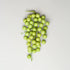Racimo de uvas verde n.º 13
