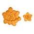 Suculentas Doradas 2ud #77