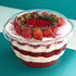 Clear Container 2 pc 7'x4'