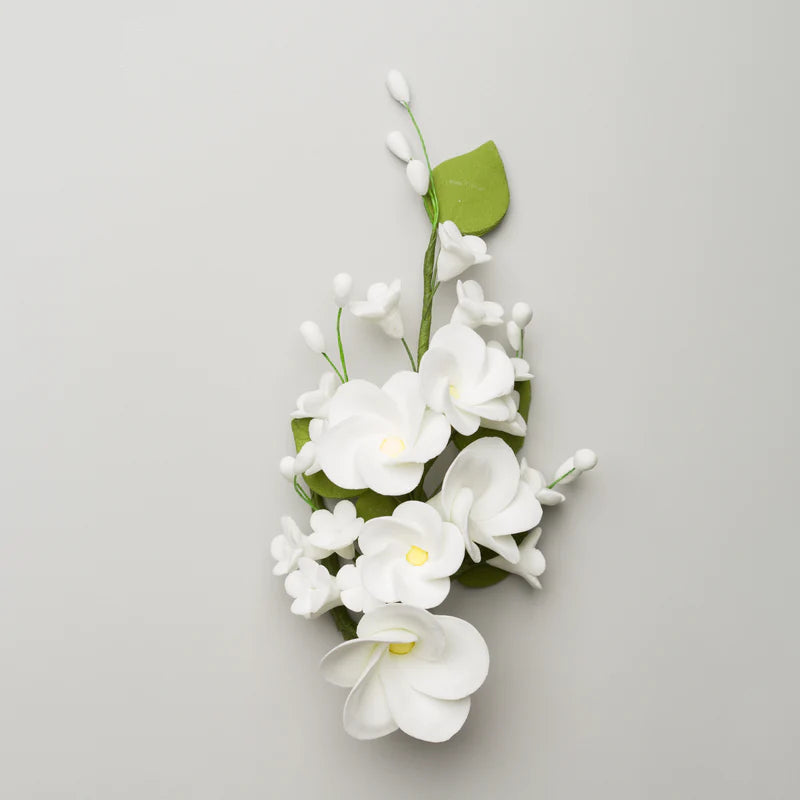 Frangipani Plumeria Filler #39