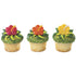 Anillos de cupcakes de flor de hibisco