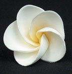Frangipani Single Gumpaste Flower W#103 P#210