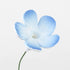 Periwinkle Flowers #74