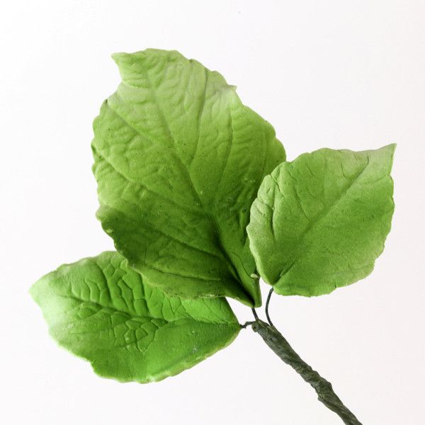 102- Hojas de hortensia - Verdes