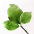 102- Hojas de hortensia - Verdes