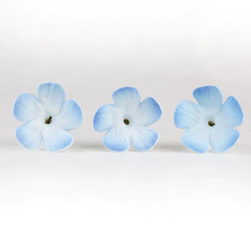 Periwinkle Flowers #74