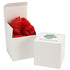 Box #38 - 4 x 4 x 4 White Cube Mug Box