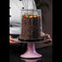 6" Tall Cake Dome 7"x8"