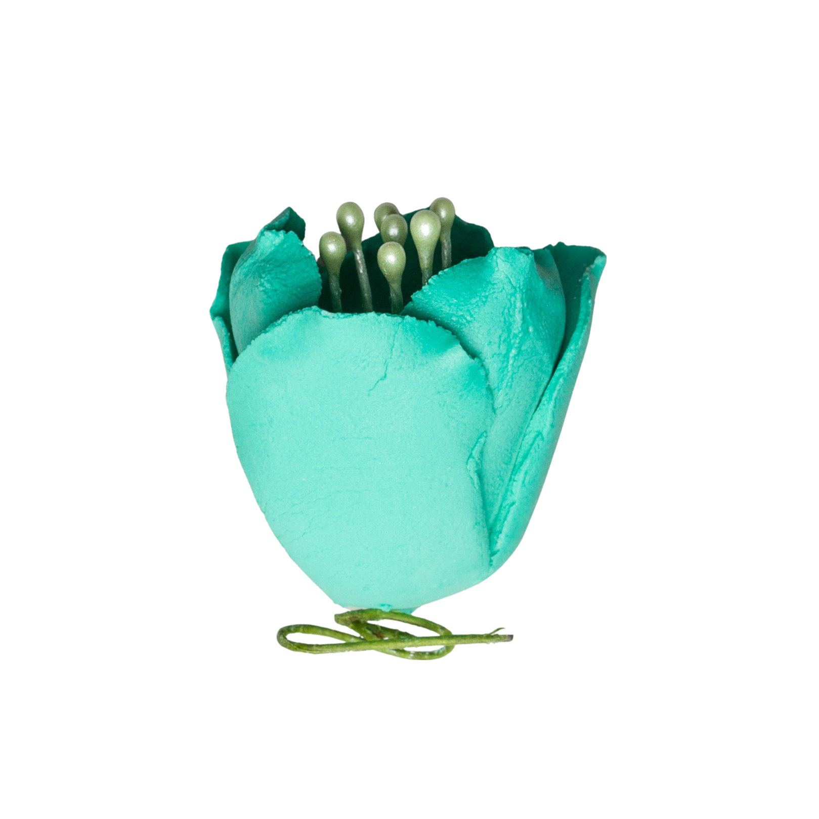 176TU- 1' Tulip - Turquoise