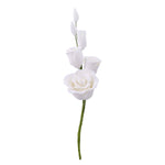 Rose Filler Spray Pink #75 or White #76